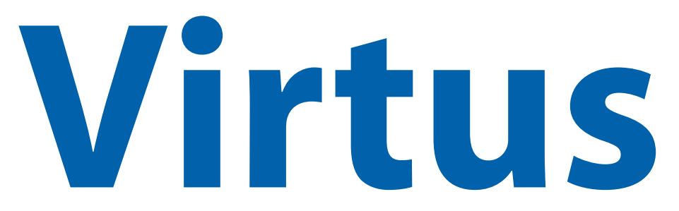 VIRTUS CONSULTORES